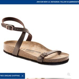 Birkenstocks Daloa Birkibuc Color Mocha size 7.5
